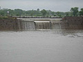 rainwater_2.jpg